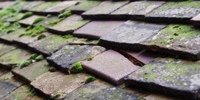 Buckland roof repair costs